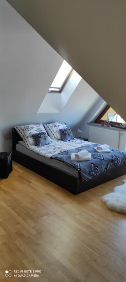 자코파네 Apartament Gazda 아파트 외부 사진